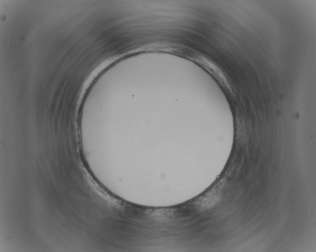 X0000074280808200609081825