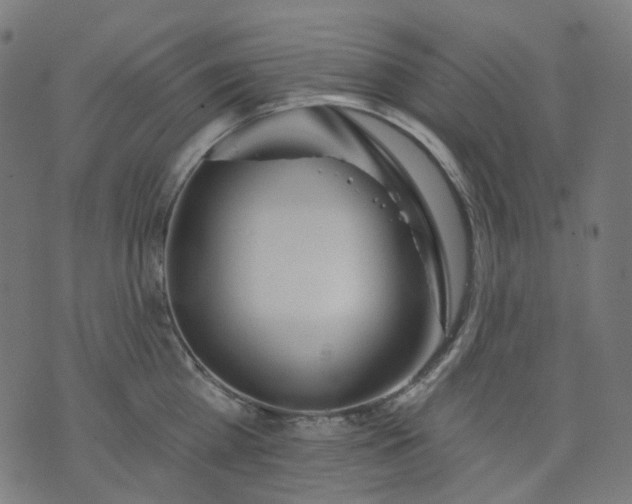 X0000074280809200609081825