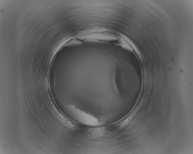 X0000074280810200609081825