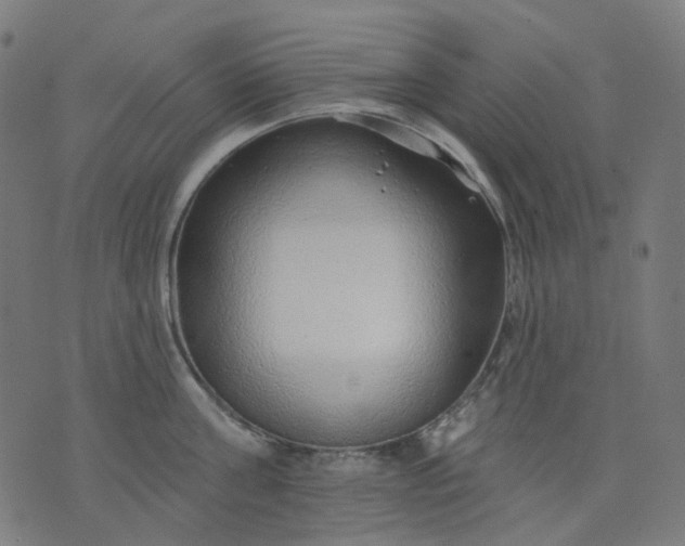 X0000074280811200609081825