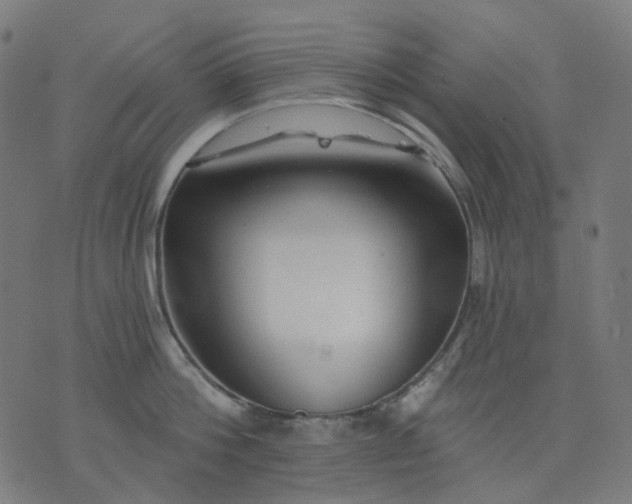 X0000074280812200609081825