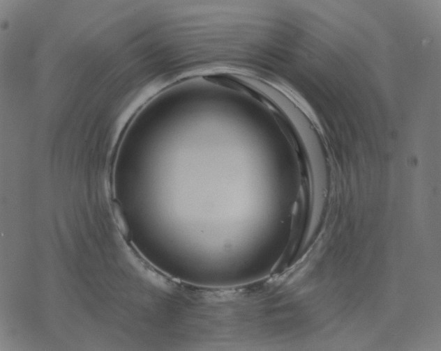 X0000074280813200609081825