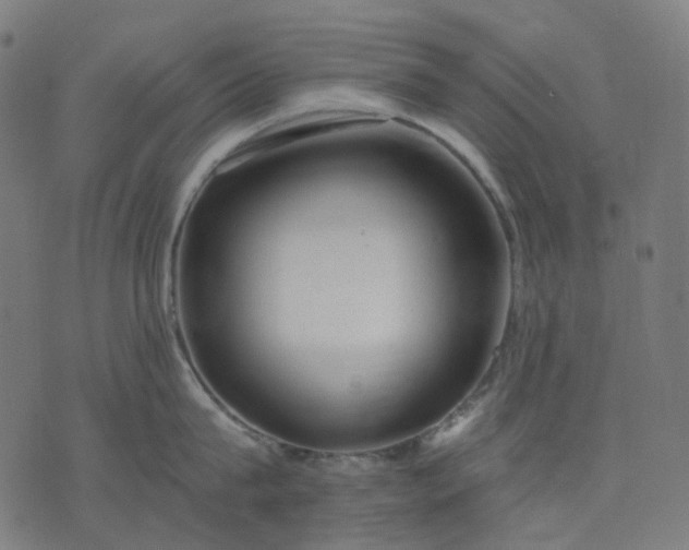 X0000074280815200609081825