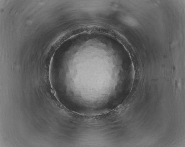 X0000074280823200609081824