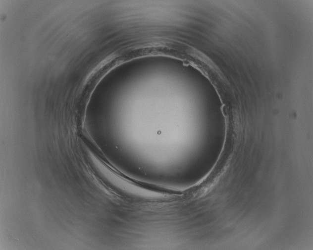 X0000074280826200609081825