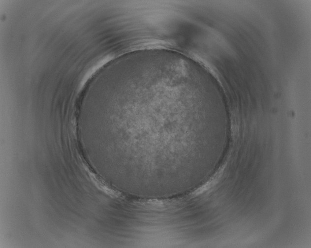 X0000074280827200609081825