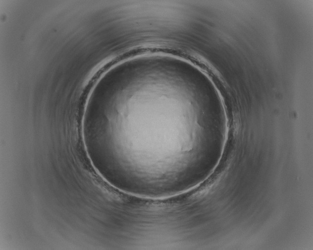 X0000074280829200609081825