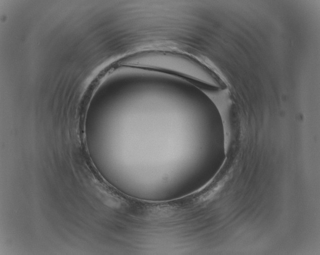 X0000074280830200609081825