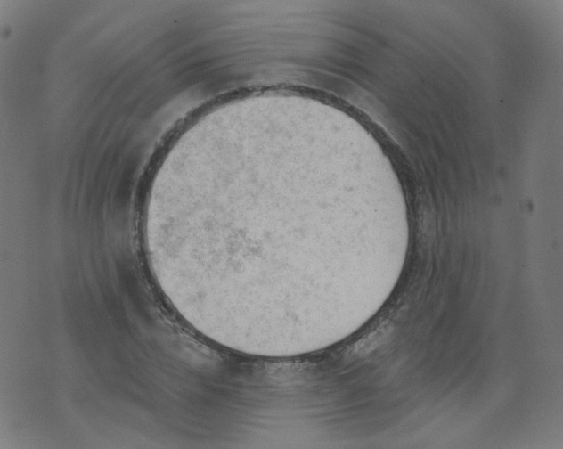 X0000074280832200609081825