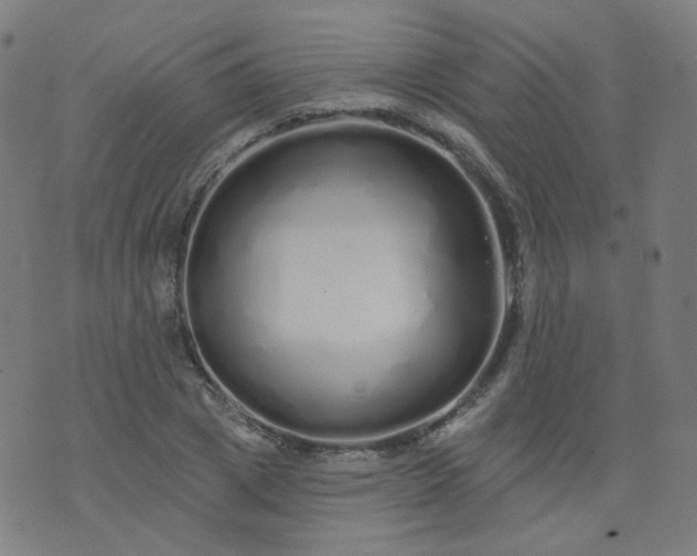 X0000074280833200609081825