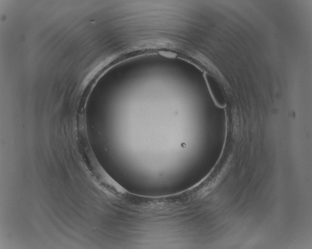 X0000074280834200609081825