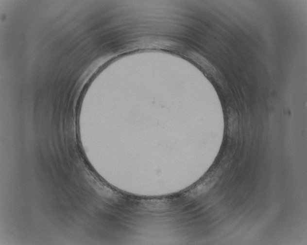 X0000074280836200609081825