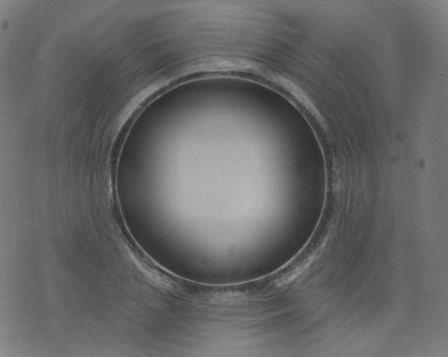 X0000074280837200609081825