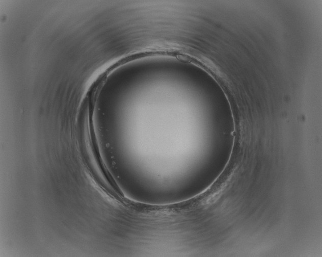 X0000074280838200609081825