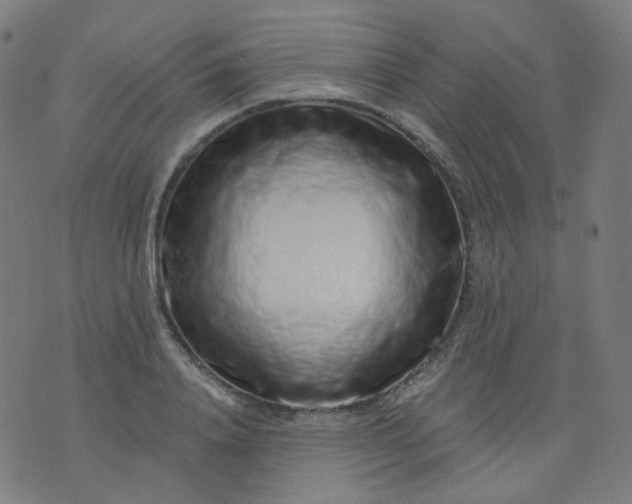 X0000074280840200609081825