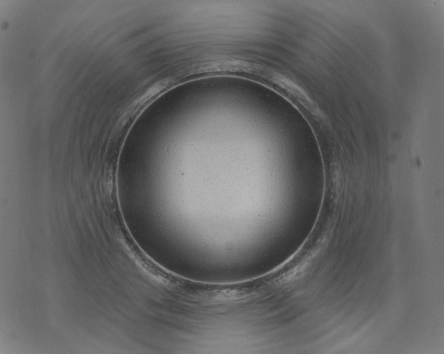 X0000074280841200609081825