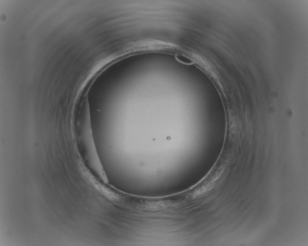 X0000074280843200609081825