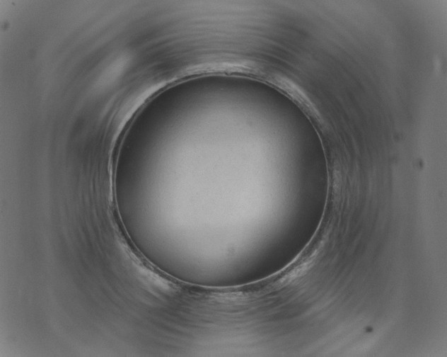 X0000074280844200609081825