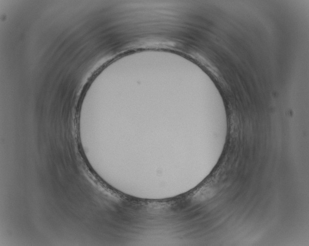 X0000074280848200609081825