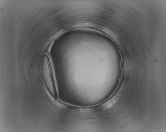 X0000074280849200609081825