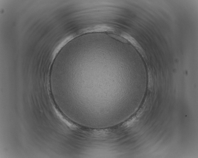 X0000074280850200609081825