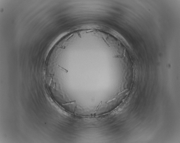 X0000074280852200609081825