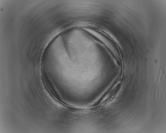 X0000074280853200609081825