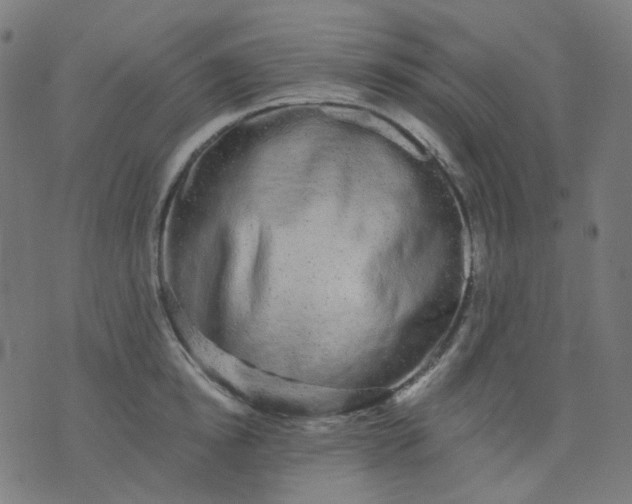 X0000074280854200609081825