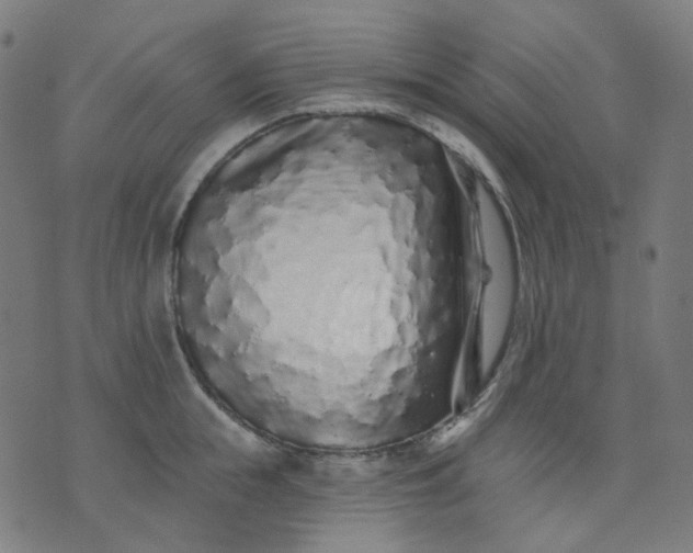 X0000074280855200609081825