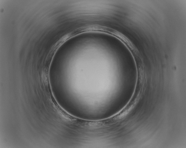 X0000074280857200609081825