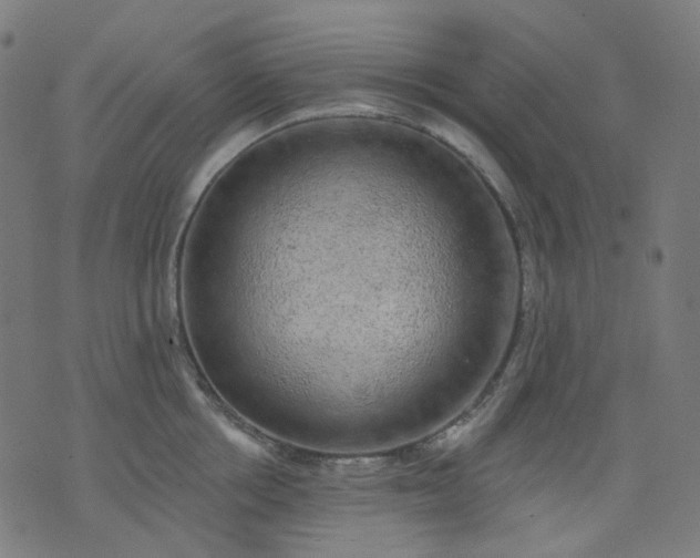 X0000074280858200609081825