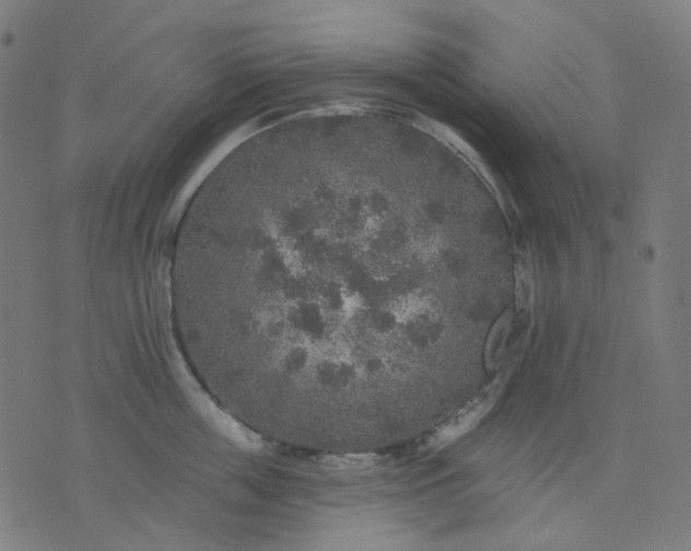 X0000074280859200609081825