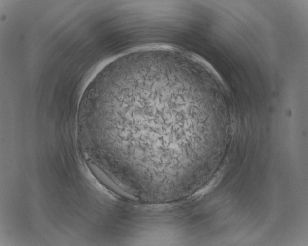 X0000074280860200609081825