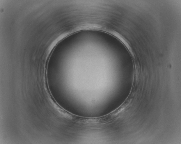 X0000074280861200609081825