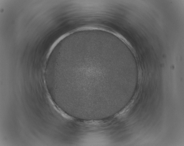 X0000074280862200609081825