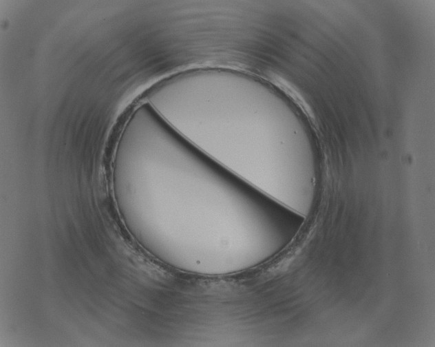 X0000074280876200609081824