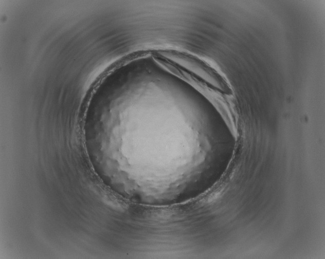 X0000074280879200609081824