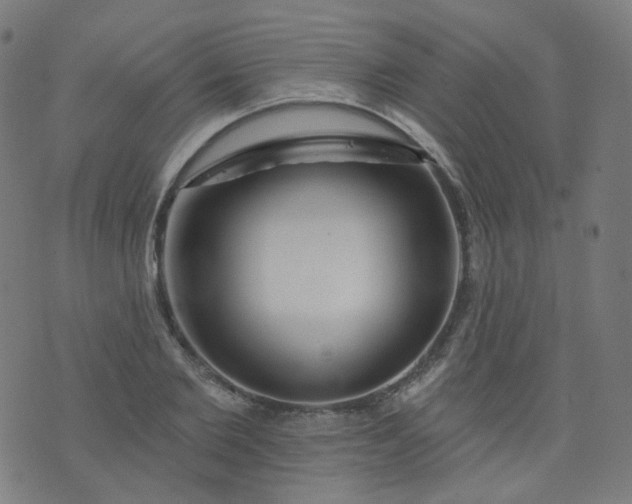 X0000074280885200609081824