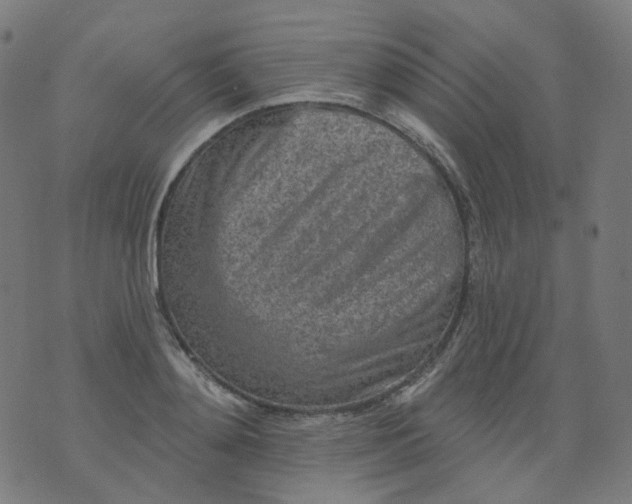 X0000074280892200609081824