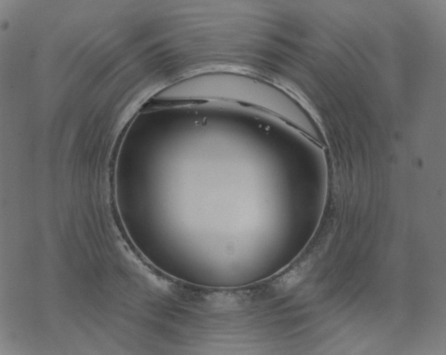 X0000074280898200609081824