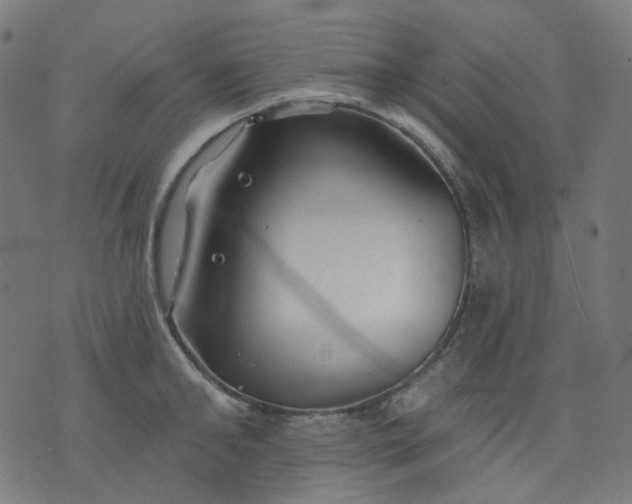 X0000074280902200609081824
