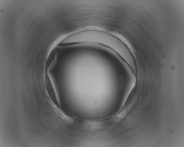 X0000074280910200609081824