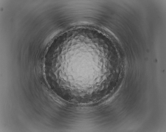 X0000074280921200609081823