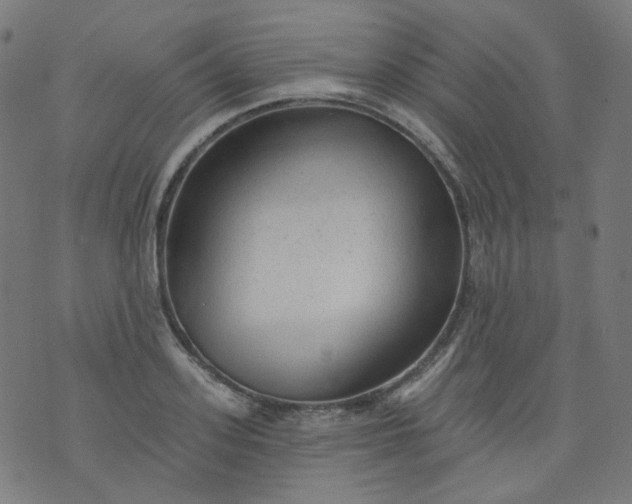 X0000074280939200609081823