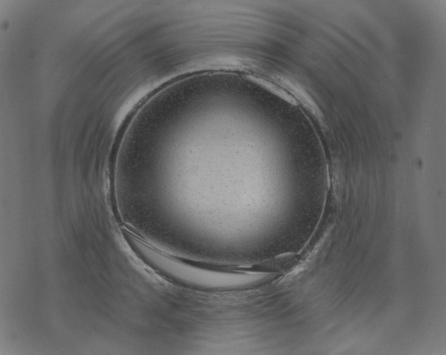 X0000074280944200609081823