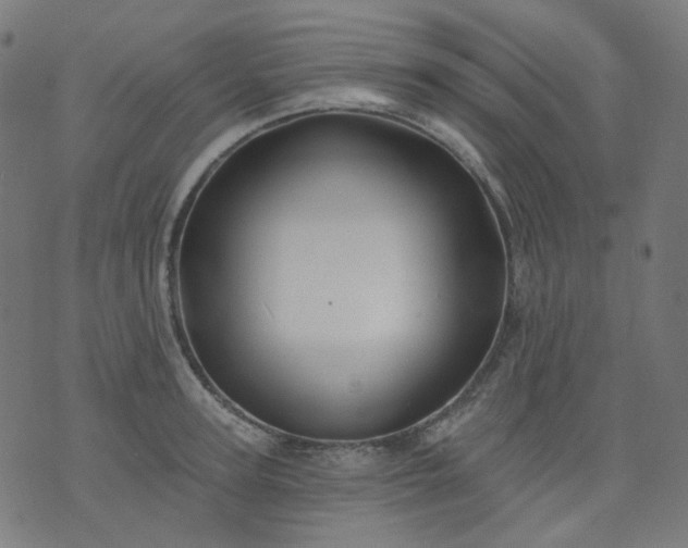 X0000074280947200609081823