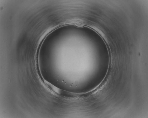 X0000074280949200609081823