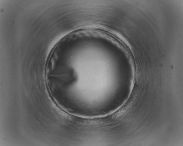 X0000074280951200609081823