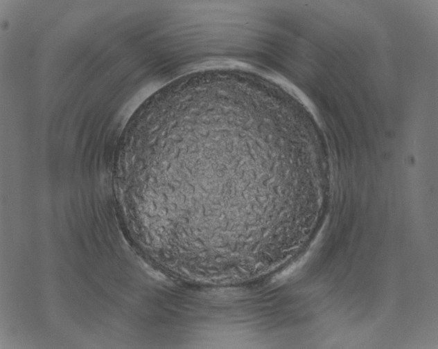 X0000074280953200609081823