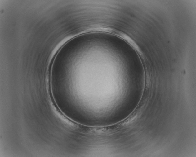 X0000074280955200609081823